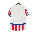 CAMISA PARAGUAI HOME 25/26 TORCEDOR